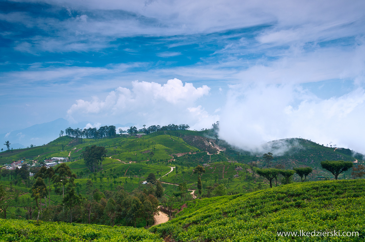 sri lanka plantacje herbaty lipton's seat