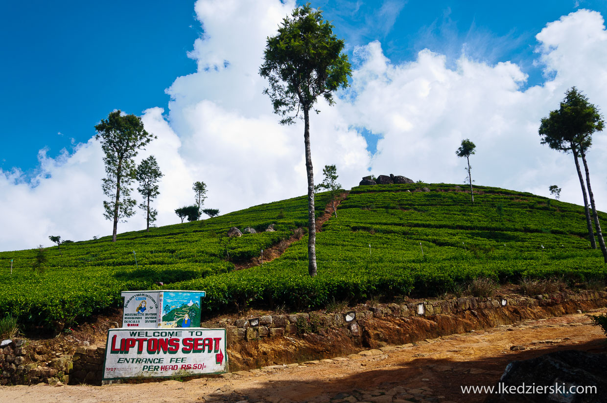 sri lanka plantacje herbaty lipton's seat