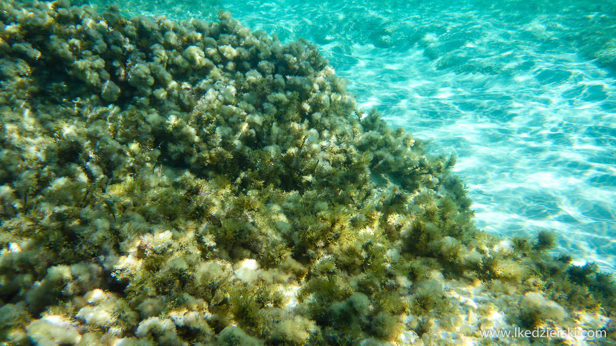 comino San Niklaw Bay