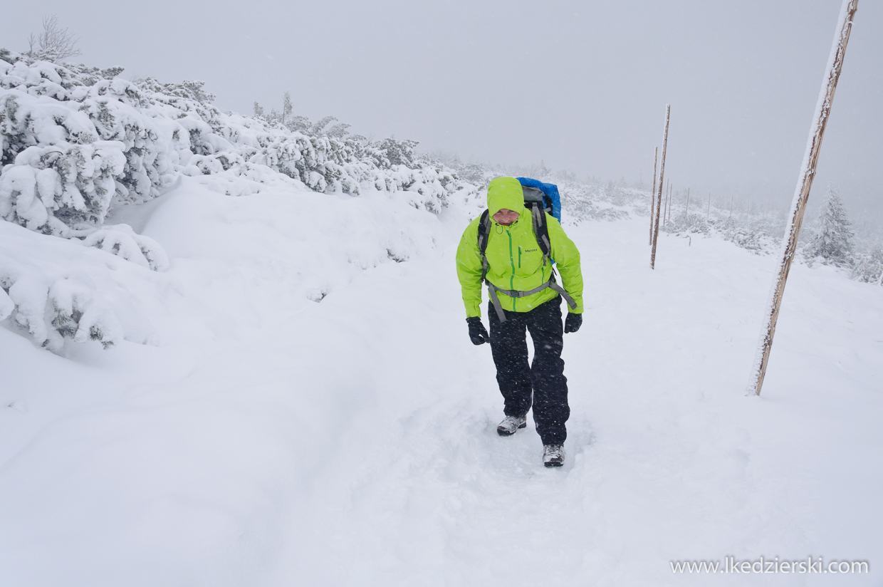 marmot speed light jacket