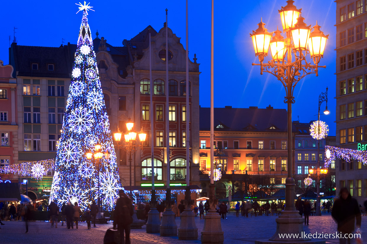 wrocław jarmark bożonarodzeniowy choinka