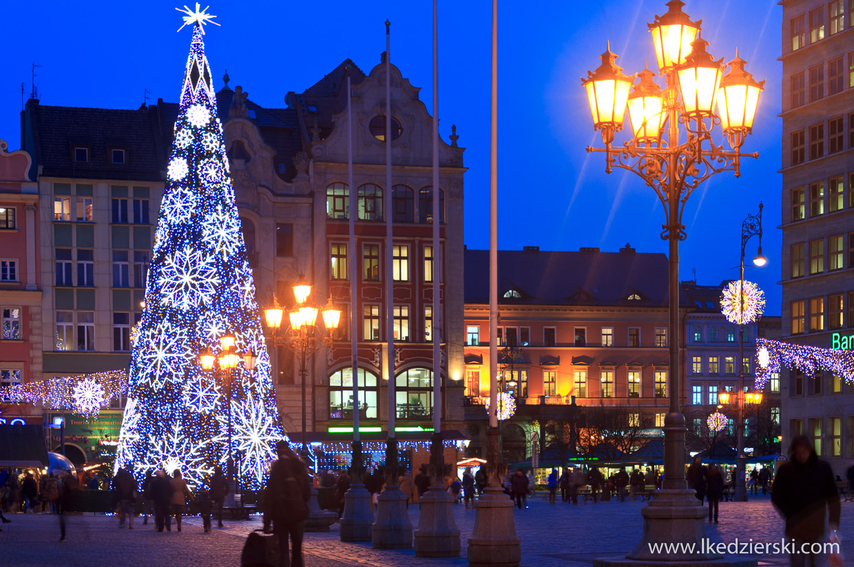 wrocław jarmark bożonarodzeniowy choinka