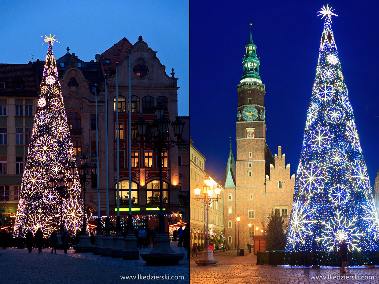 wrocław jarmark bożonarodzeniowy choinka