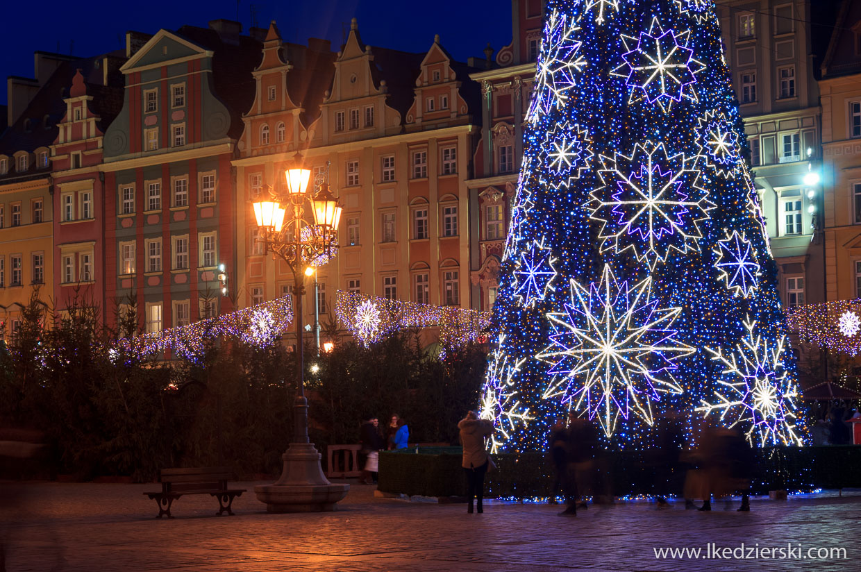 wrocław jarmark bożonarodzeniowy choinka