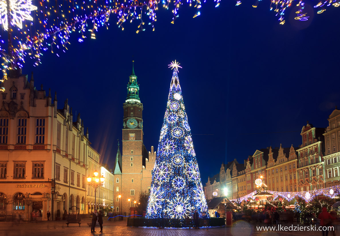 wrocław jarmark bożonarodzeniowy choinka