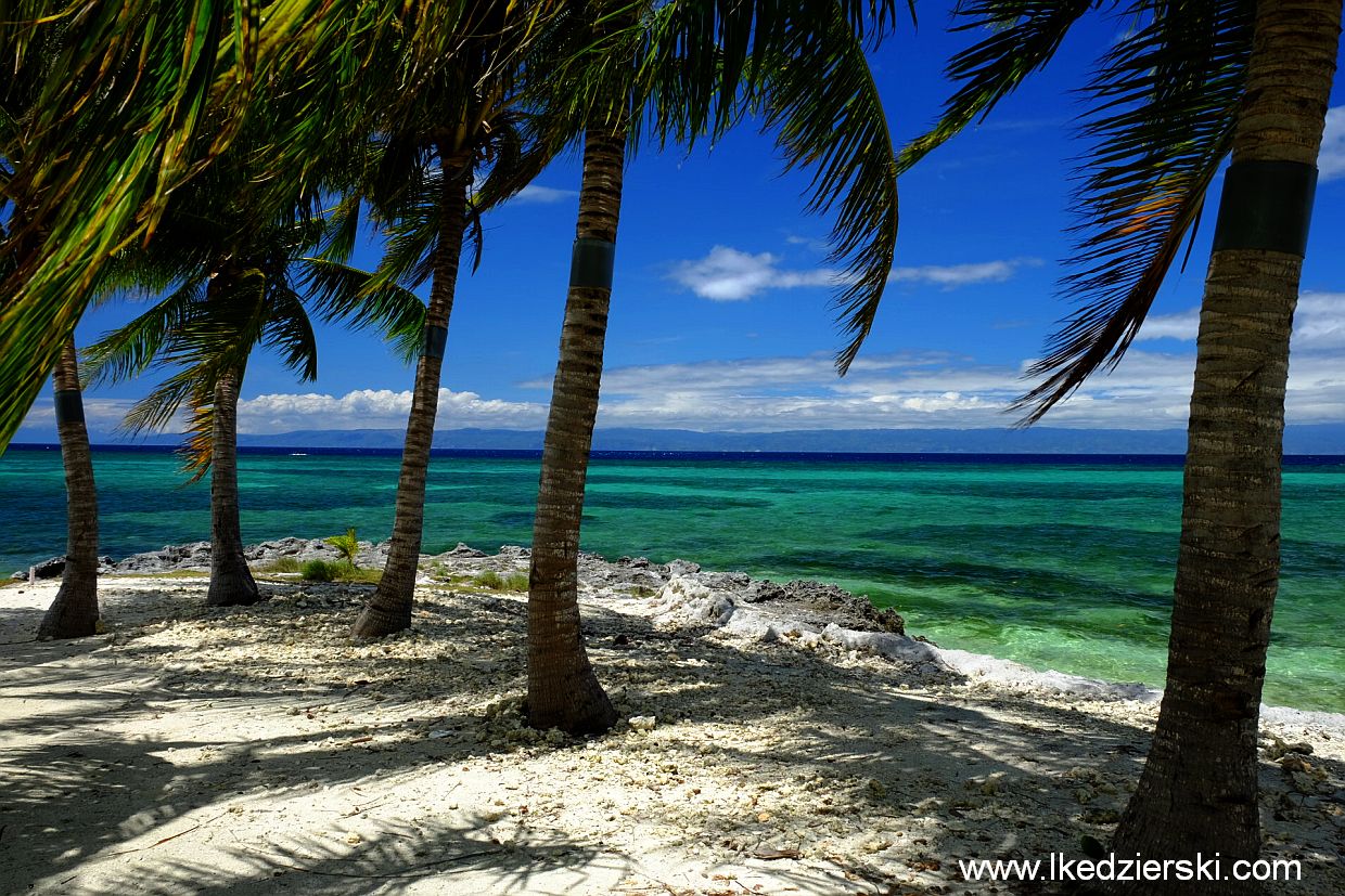 panglao doljo beach