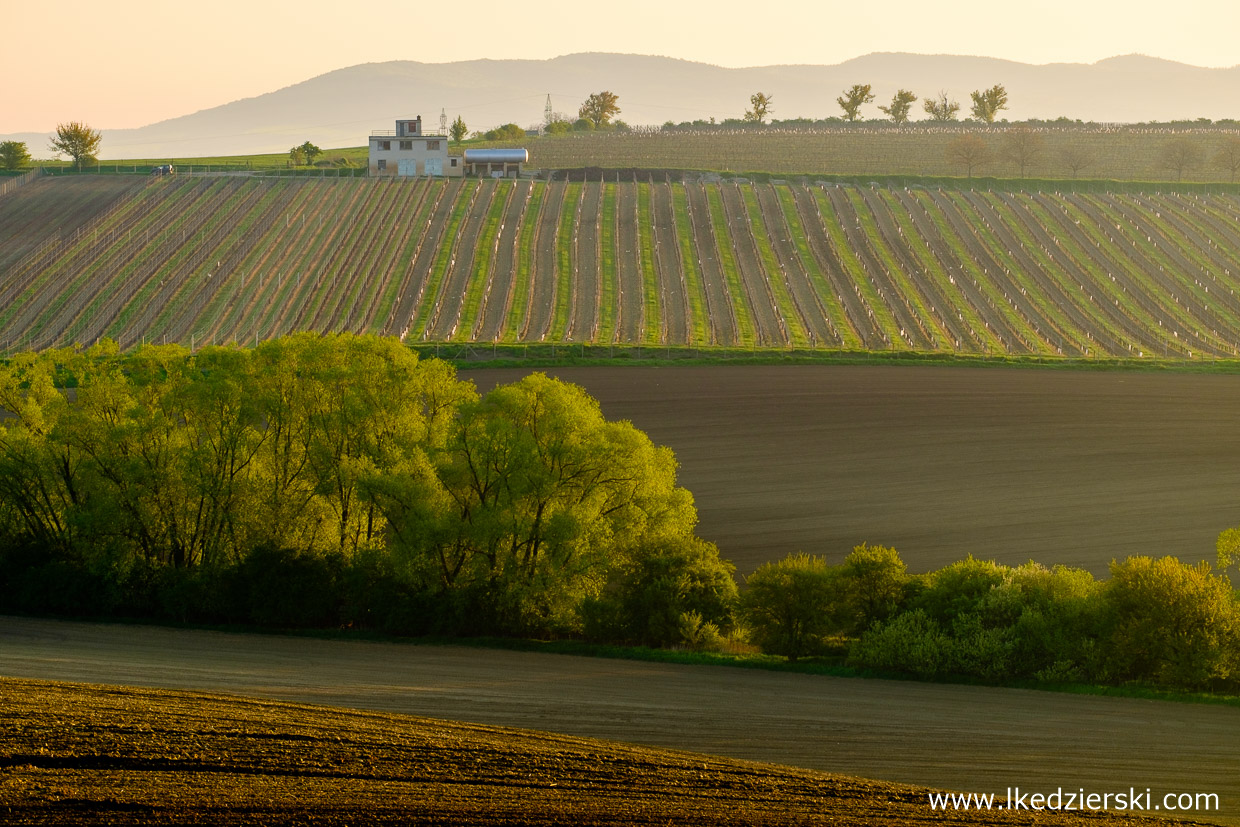 morawy południowe south moravia