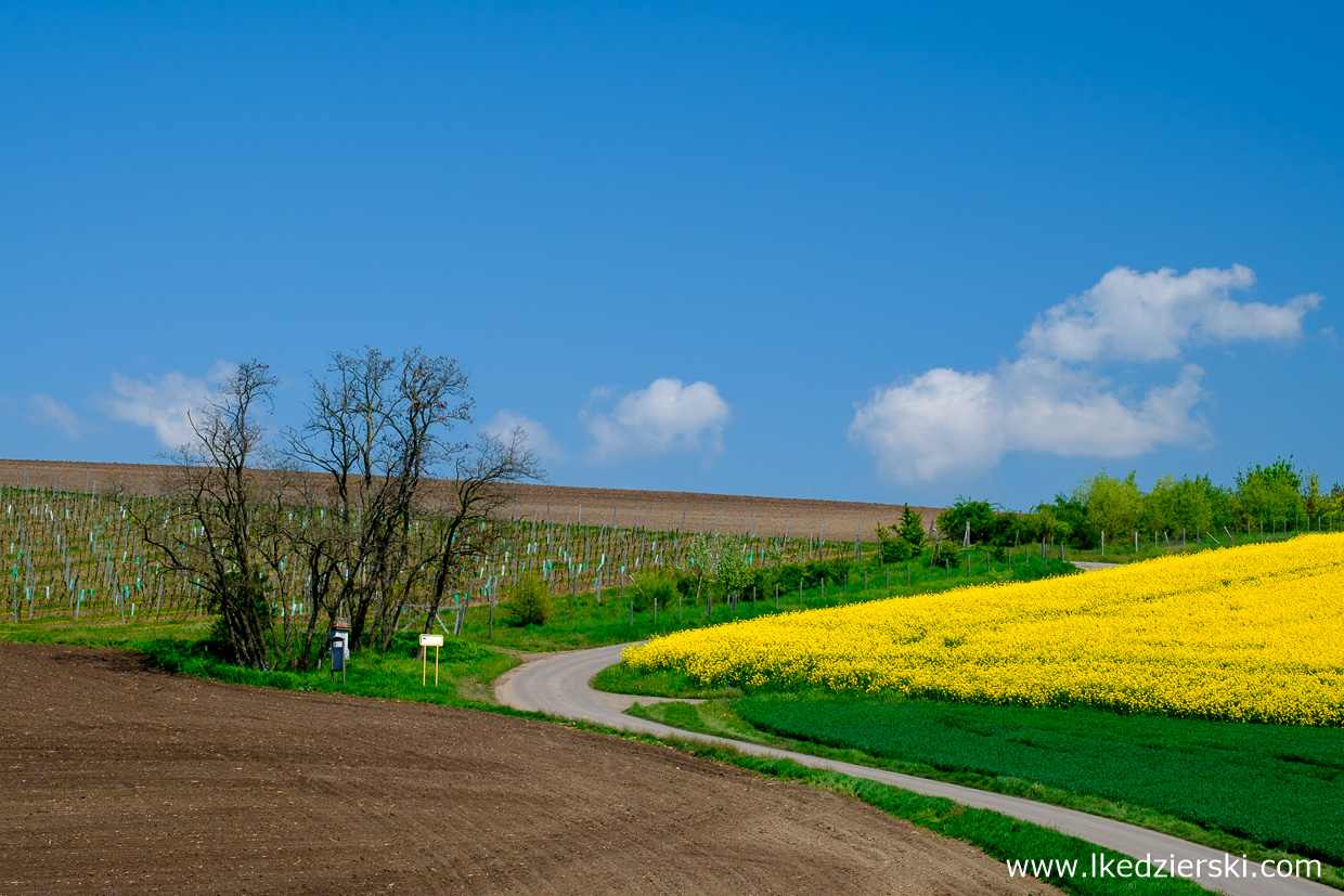 morawy południowe south moravia