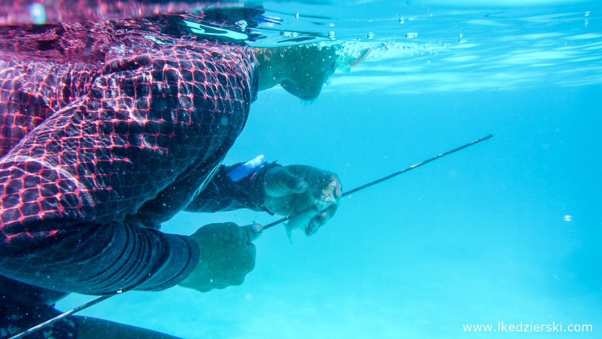 filipiny pamilacan rybacy polowanie na ryby