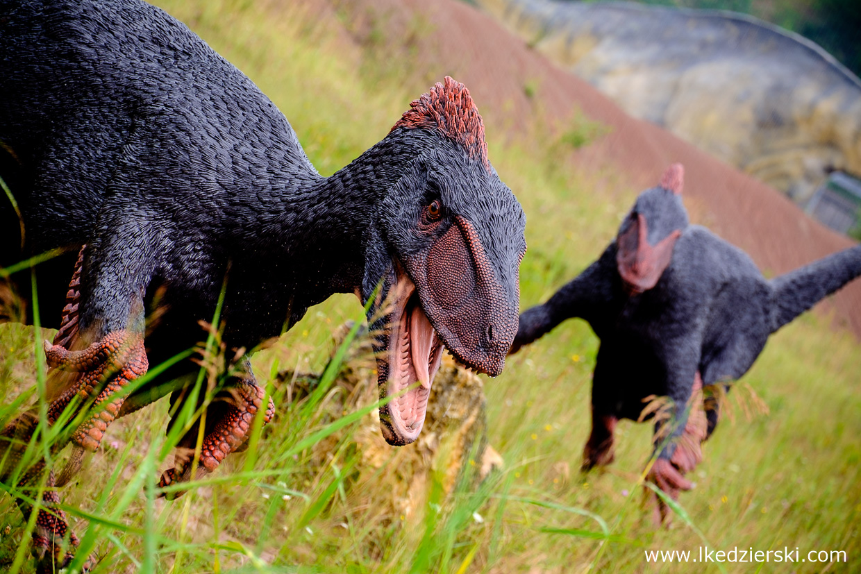 Krasiejów, park dinozaurów, jurapark krasiejów, jurapark, dinozaury dla dzieci,