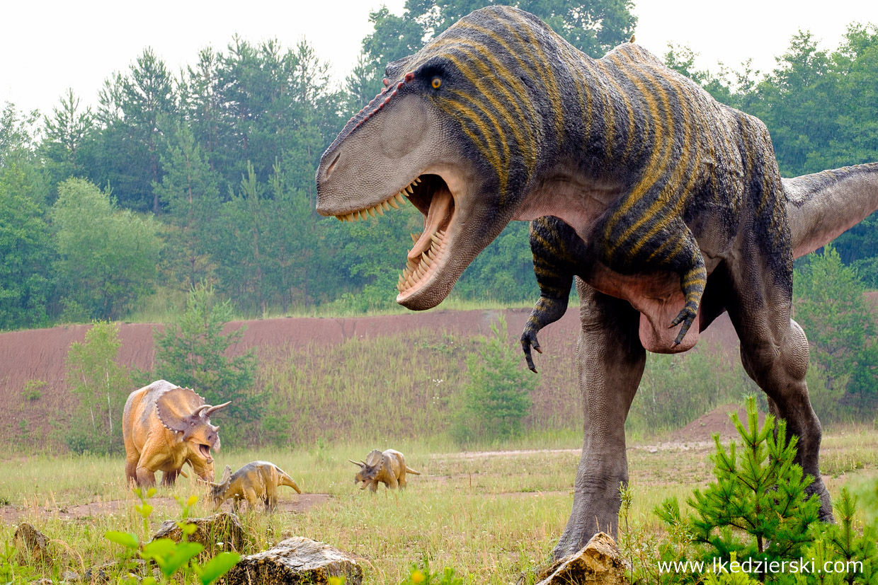 Krasiejów, park dinozaurów, jurapark krasiejów, jurapark, dinozaury dla dzieci,