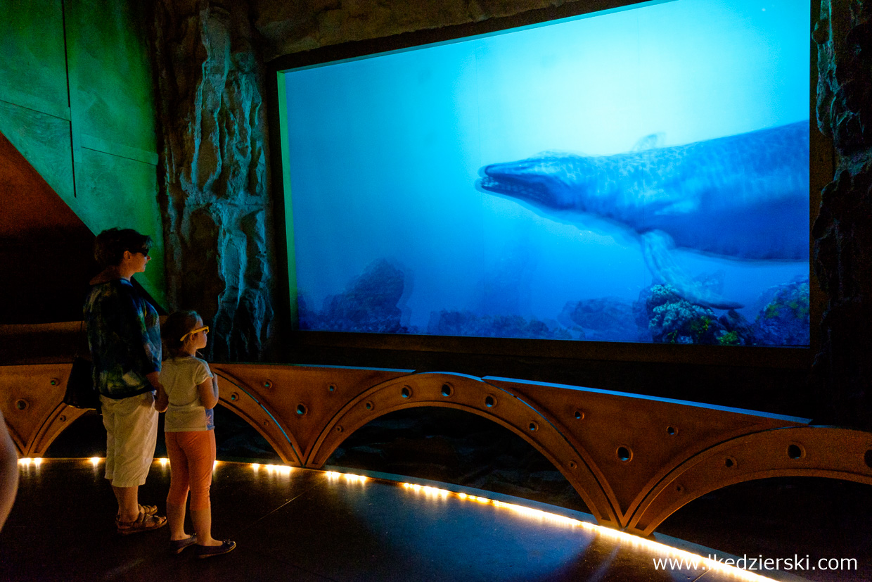 jurapark krasiejów prehistoryczne oceanarium 