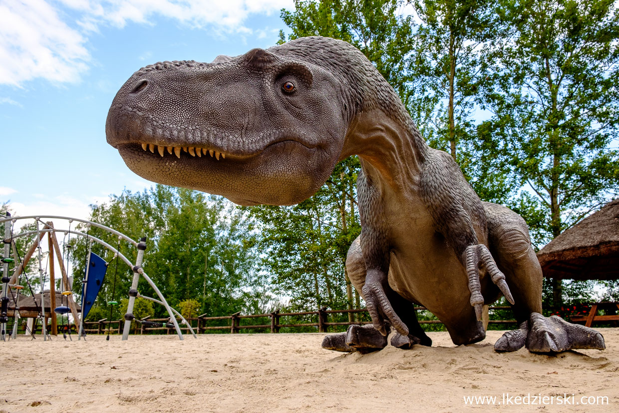 jurapark krasiejów plac zabaw dinozaur