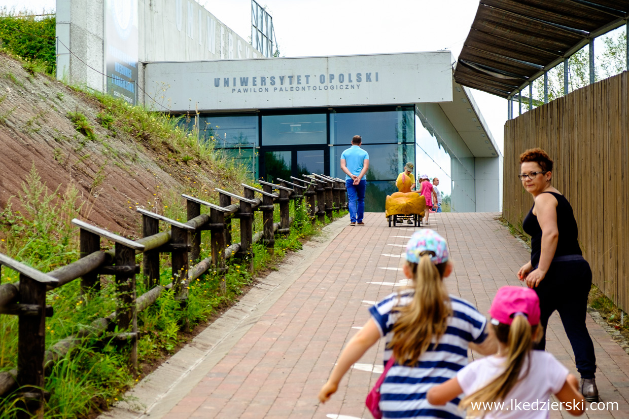 JuraPark Krasiejów - ścieżka edukacyjna dinozaury