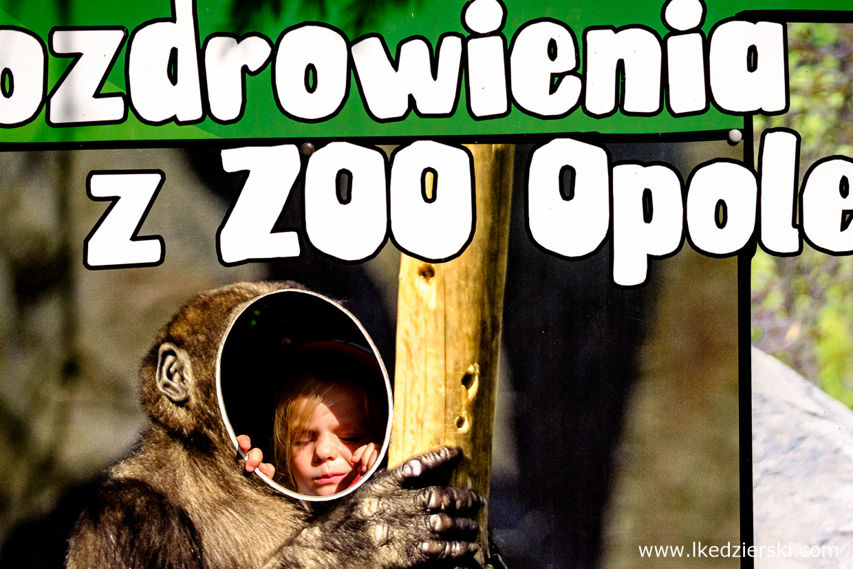 opole na weekend zoo w opolu