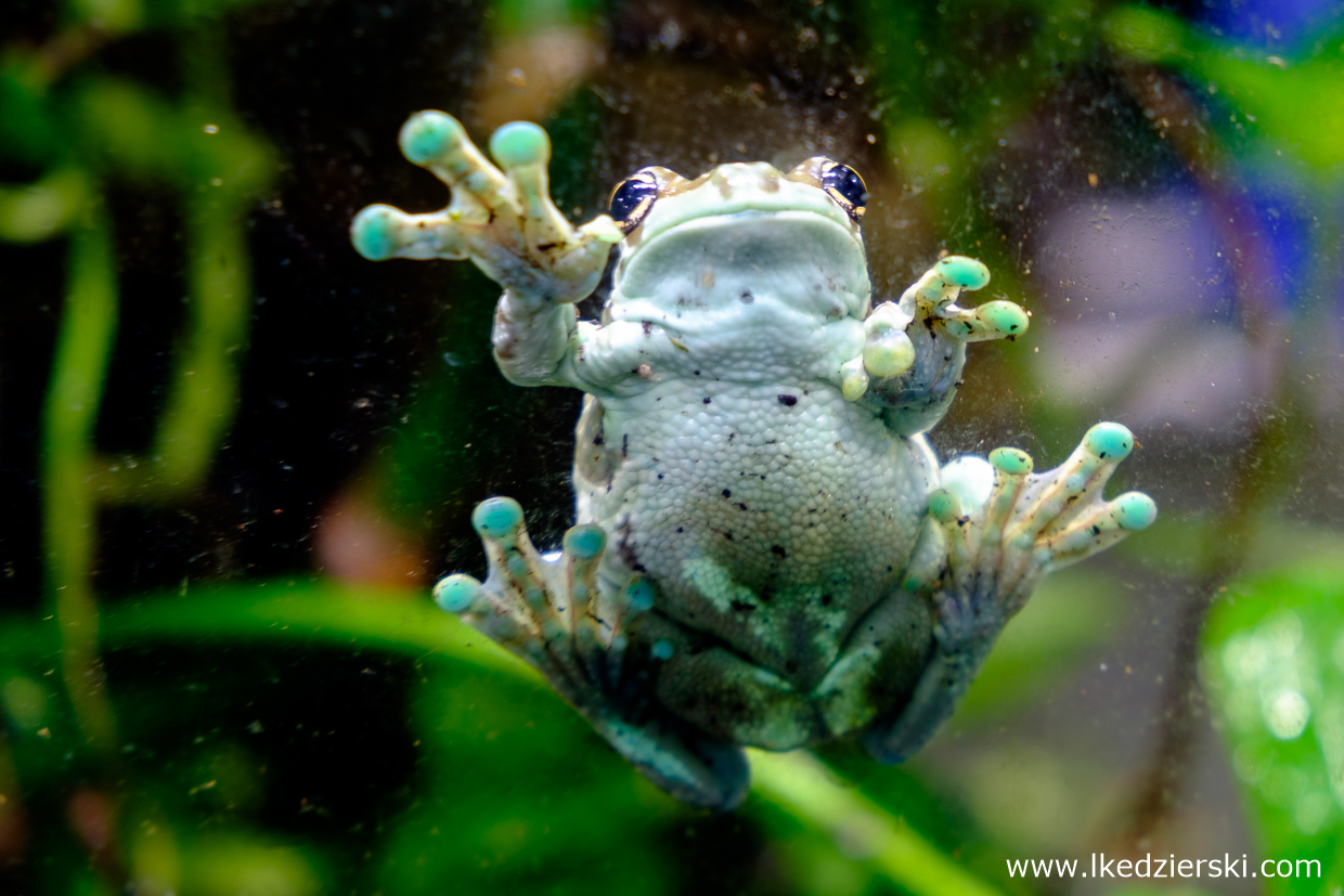 opole na weekend zoo w opolu