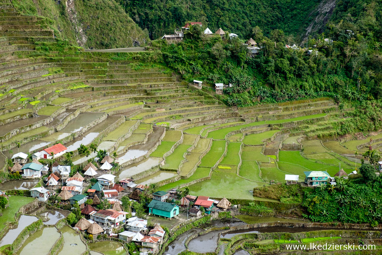 filipiny batad tarasy ryżowe rice fields