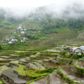 filipiny batad tarasy ryżowe rice fields