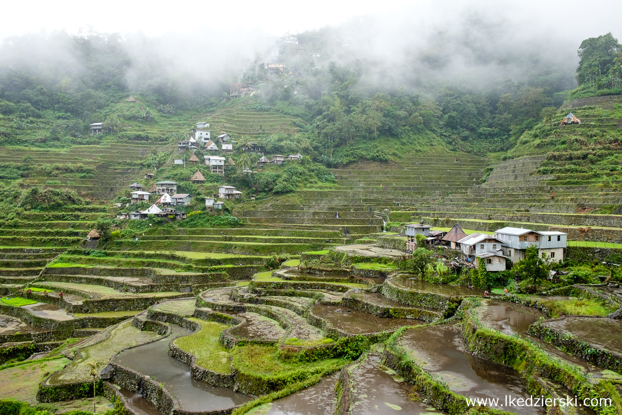 filipiny batad tarasy ryżowe rice fields