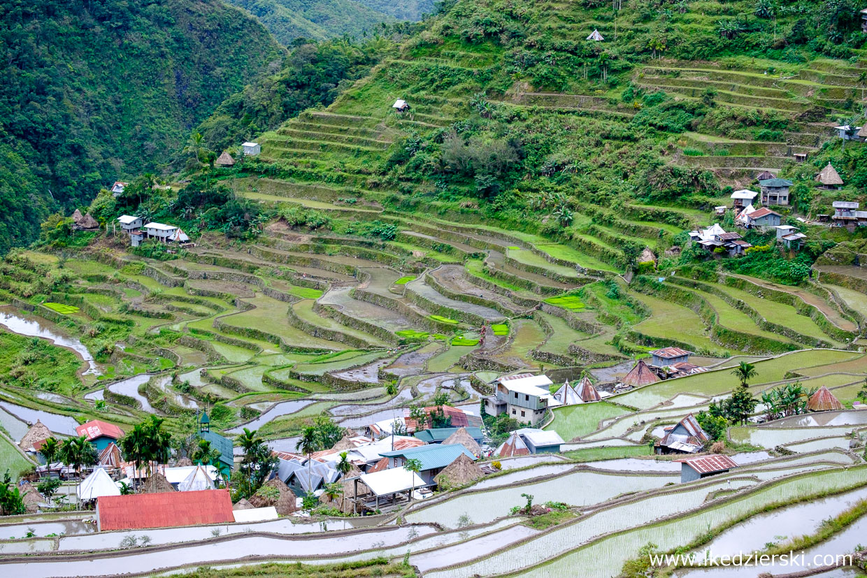 filipiny batad tarasy ryżowe rice fields luzon