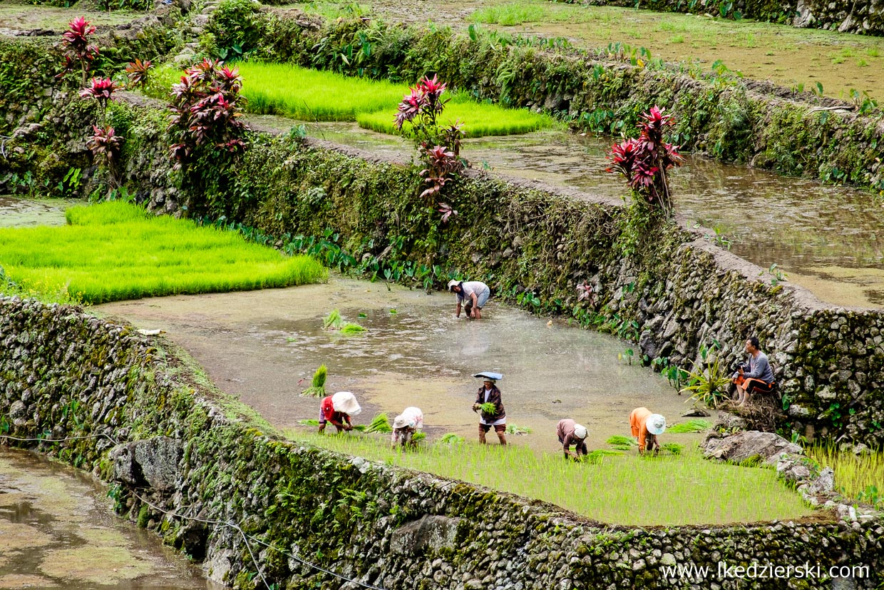 filipiny batad tarasy ryżowe rice fields luzon