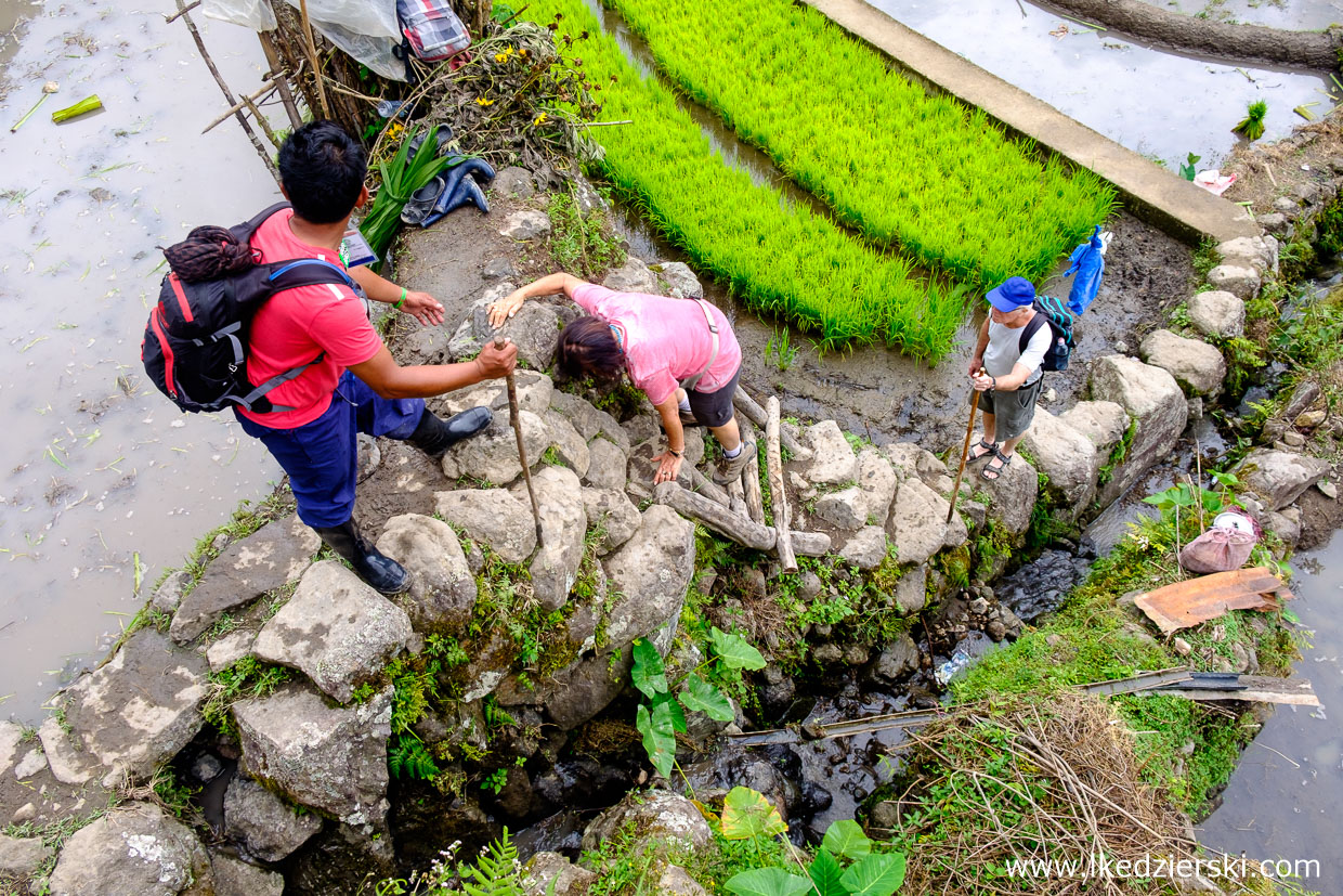 filipiny batad tarasy ryżowe rice fields luzon