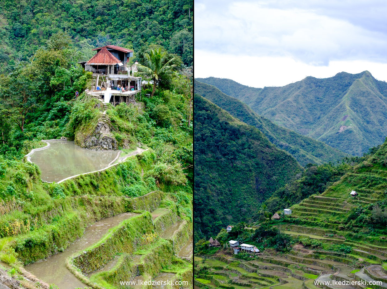 filipiny batad tarasy ryżowe rice fields luzon