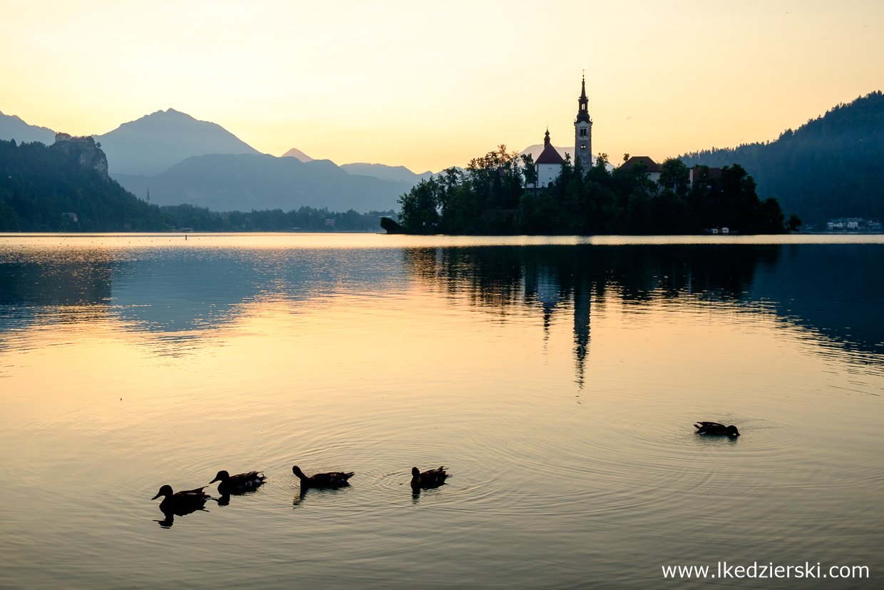 słowenia jezioro bled wschód słońca sunrise