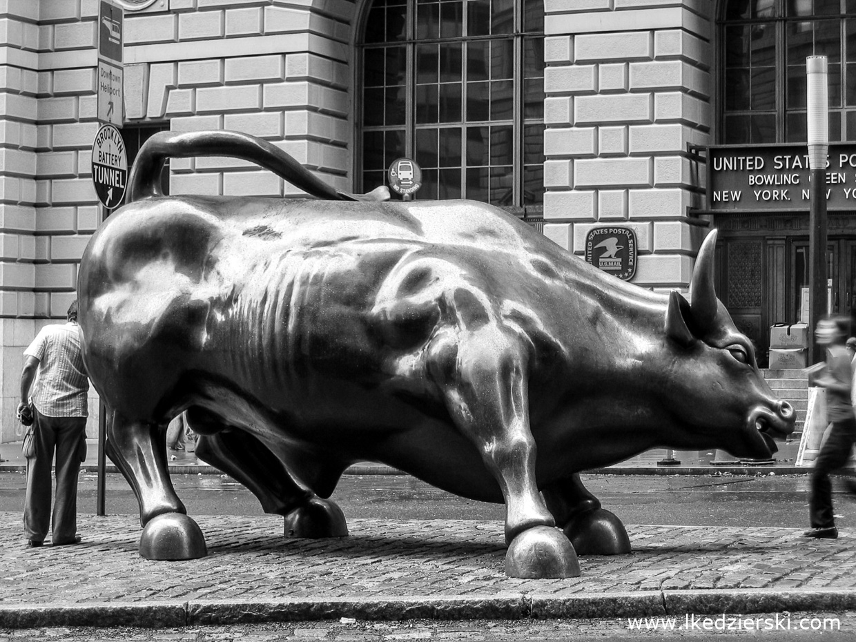 nowy jork charging bull