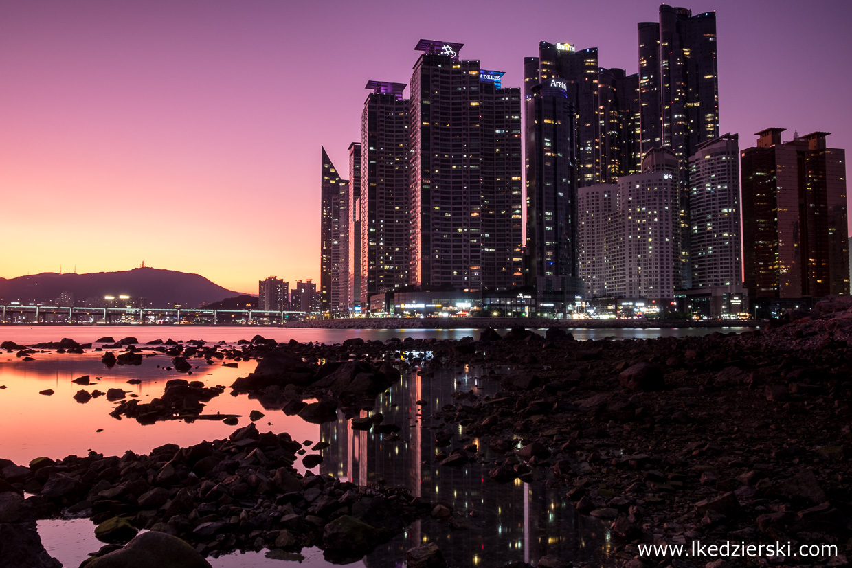 korea południowa nocne zdjęcia Dongbaekseom Island (동백섬) w Busan