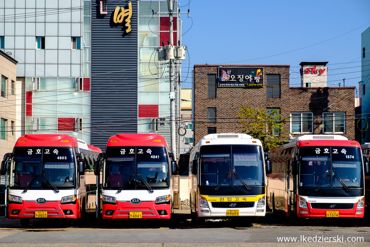 korea południowa transport autobusy gyeongju