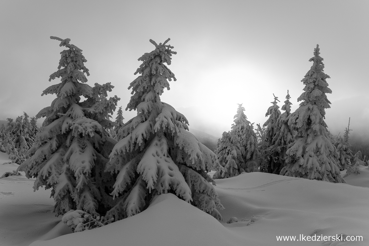 karkonosze zdjęcia czarno-białe black and white photography góry zimą