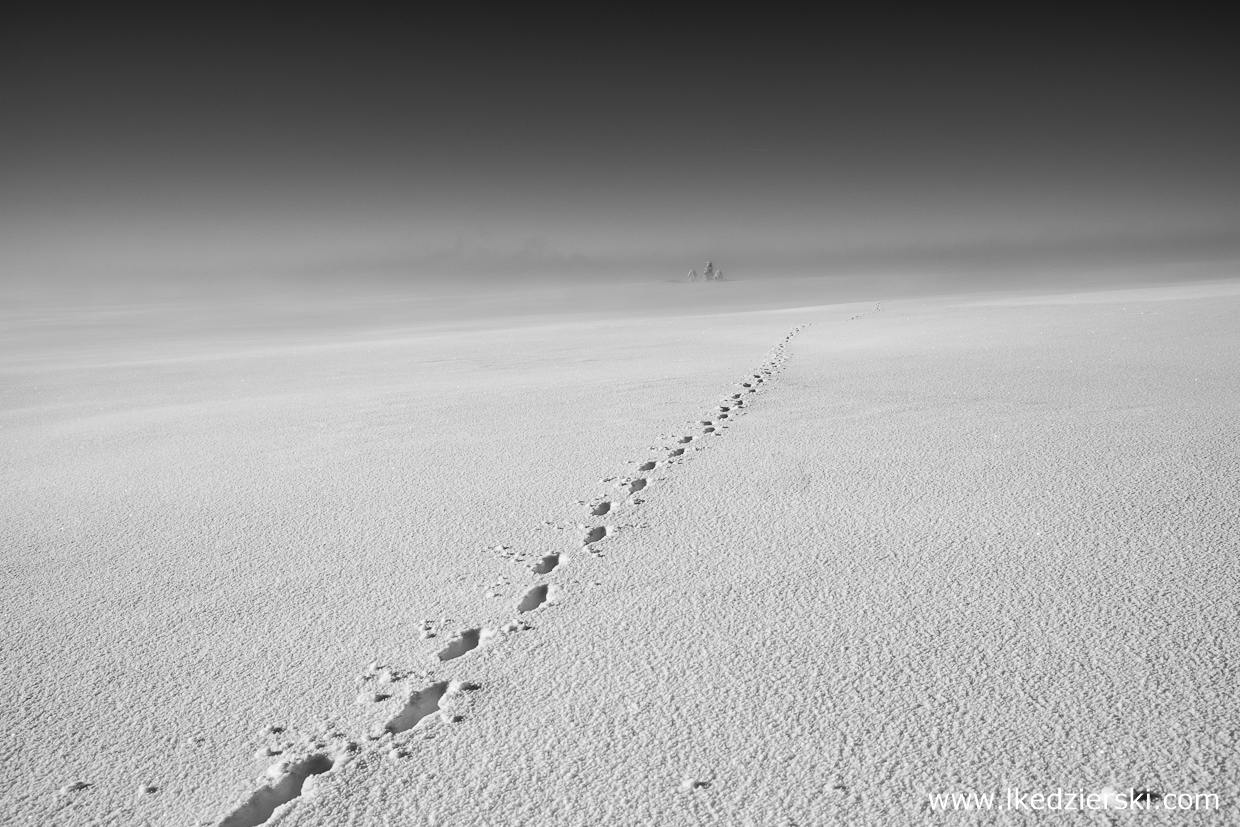 karkonosze zdjęcia czarno-białe black and white photography góry zimą