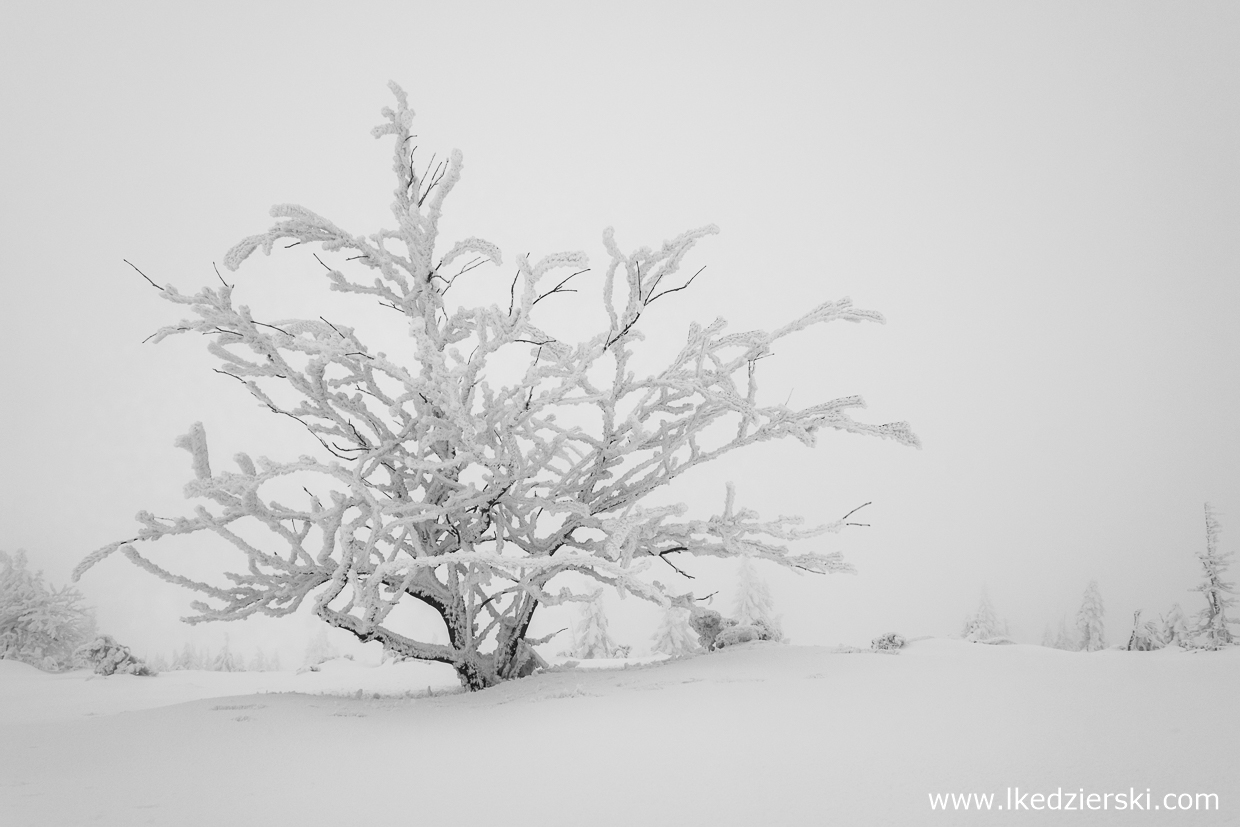 karkonosze zdjęcia czarno-białe black and white photography góry zimą