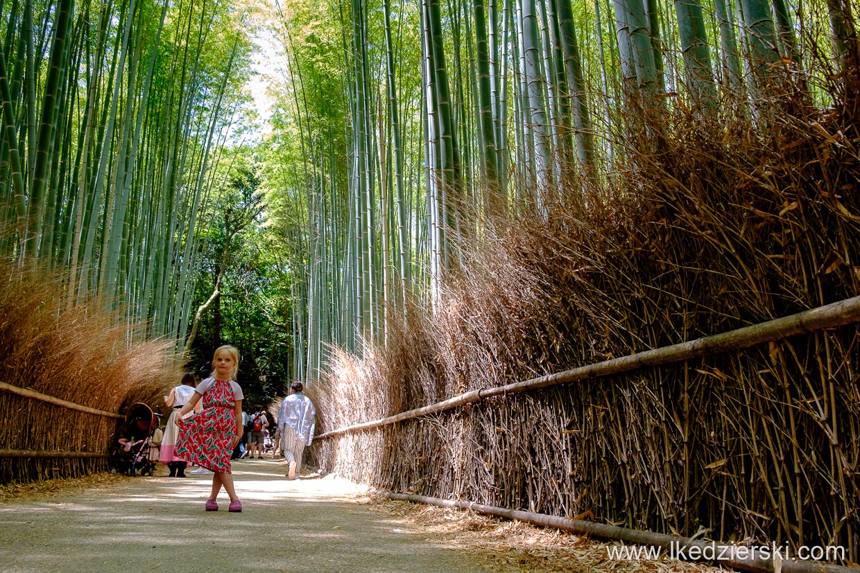 japonia kioto arashiyama bamboo grove lasek bambusowy