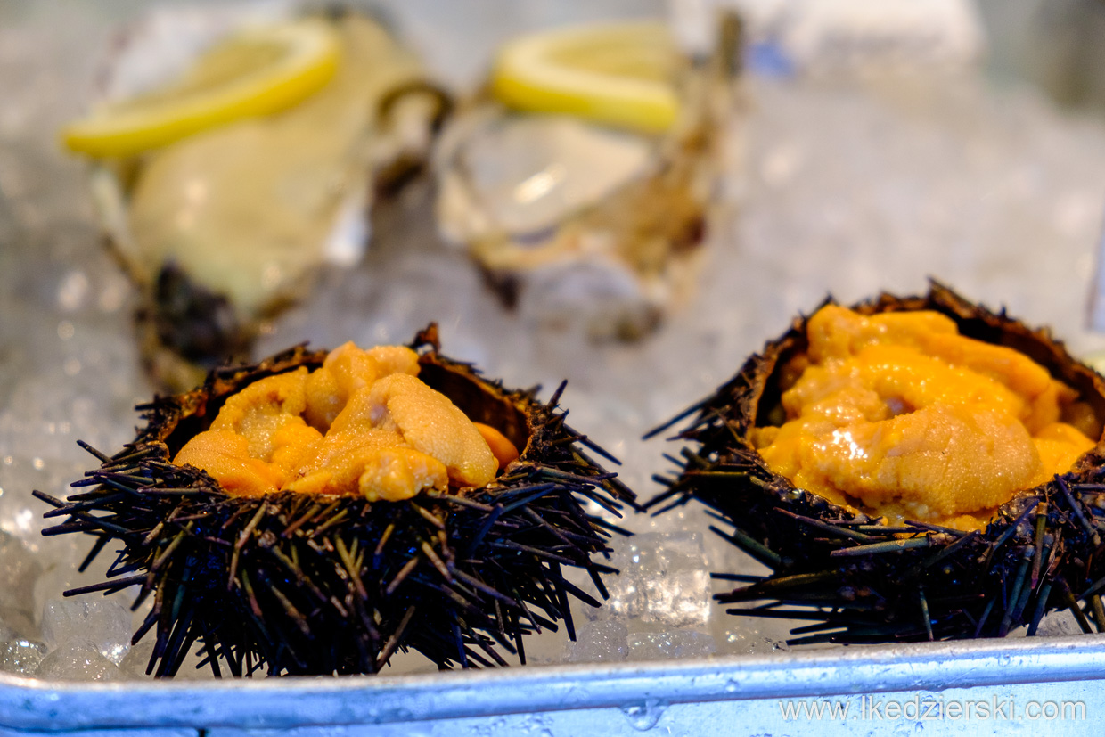 japonia tokio jeżowiec tsukiji market sea urchin