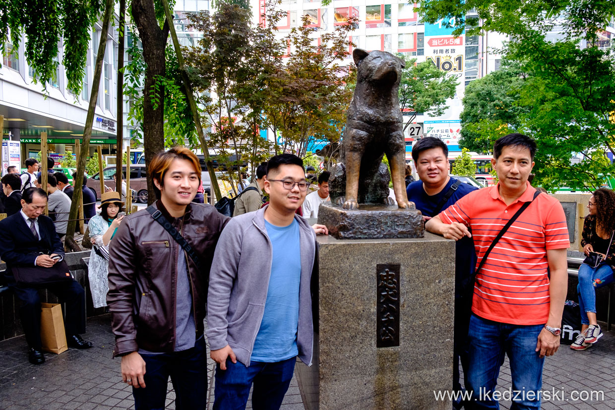 japonia tokio tokyo shibuya pies hachiko dog 