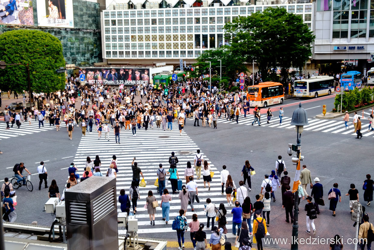 japonia tokio tokyo shibuya crossing skrzyżowanie