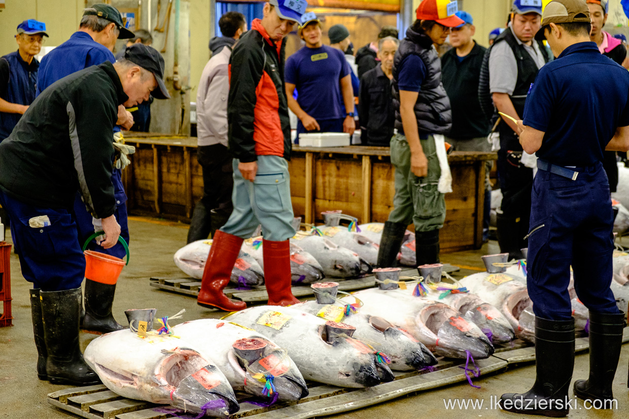 japonia tokio tsukiji market tuna auction giełda tuńczyka