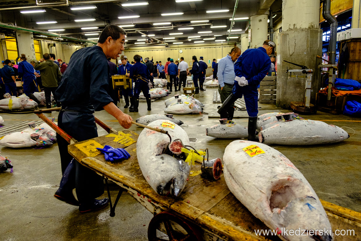 japonia tokio tsukiji market tuna auction giełda tuńczyka