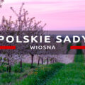 trzebnica polskie sady zachód słońca