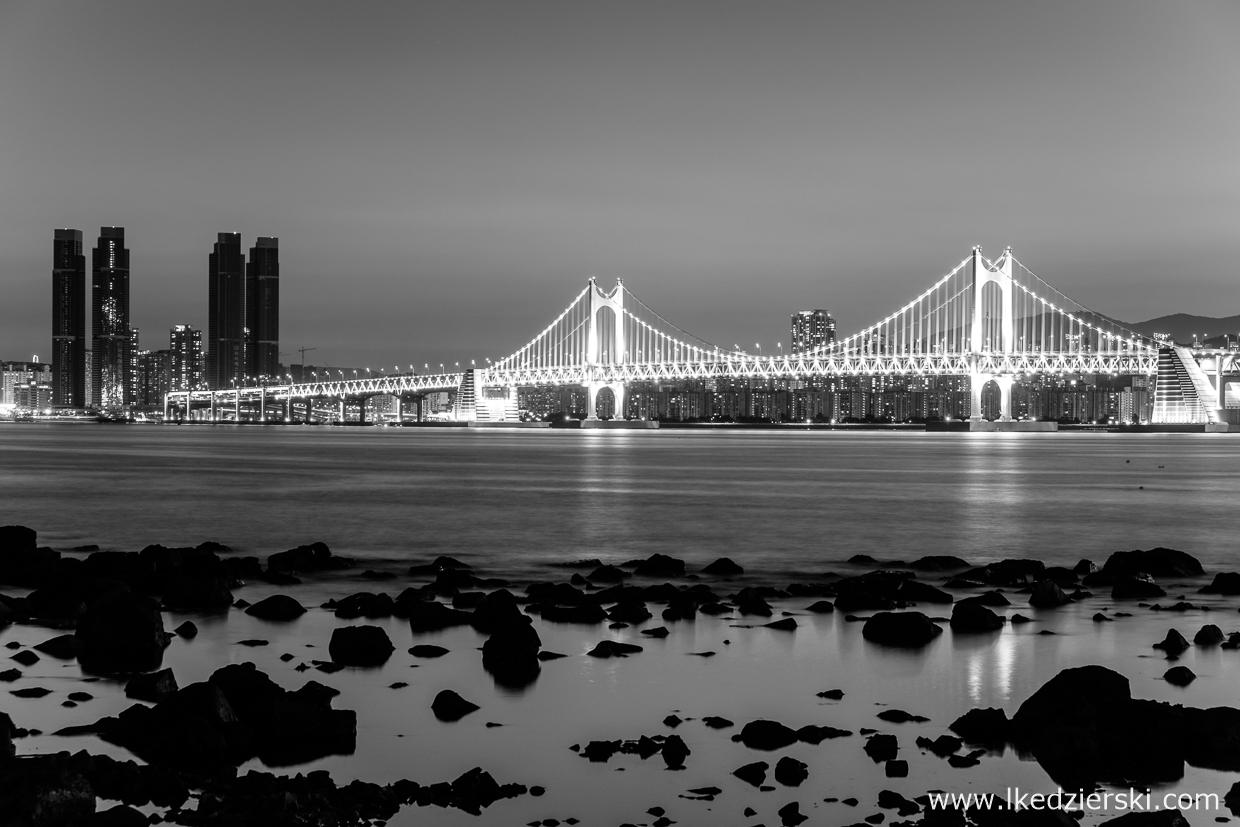 busan nocne zdjęcia black white