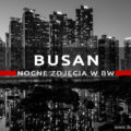 busan nocne zdjęcia black white