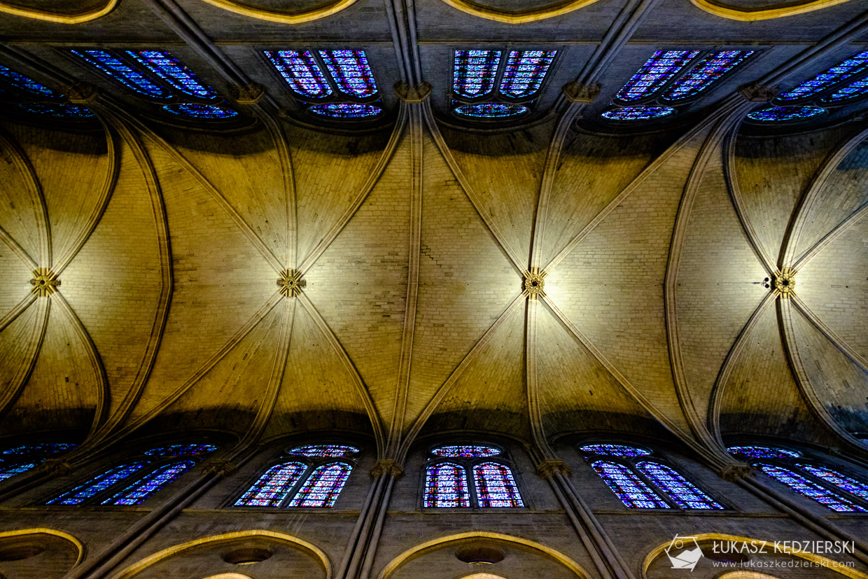 paryż katedra notre-dame