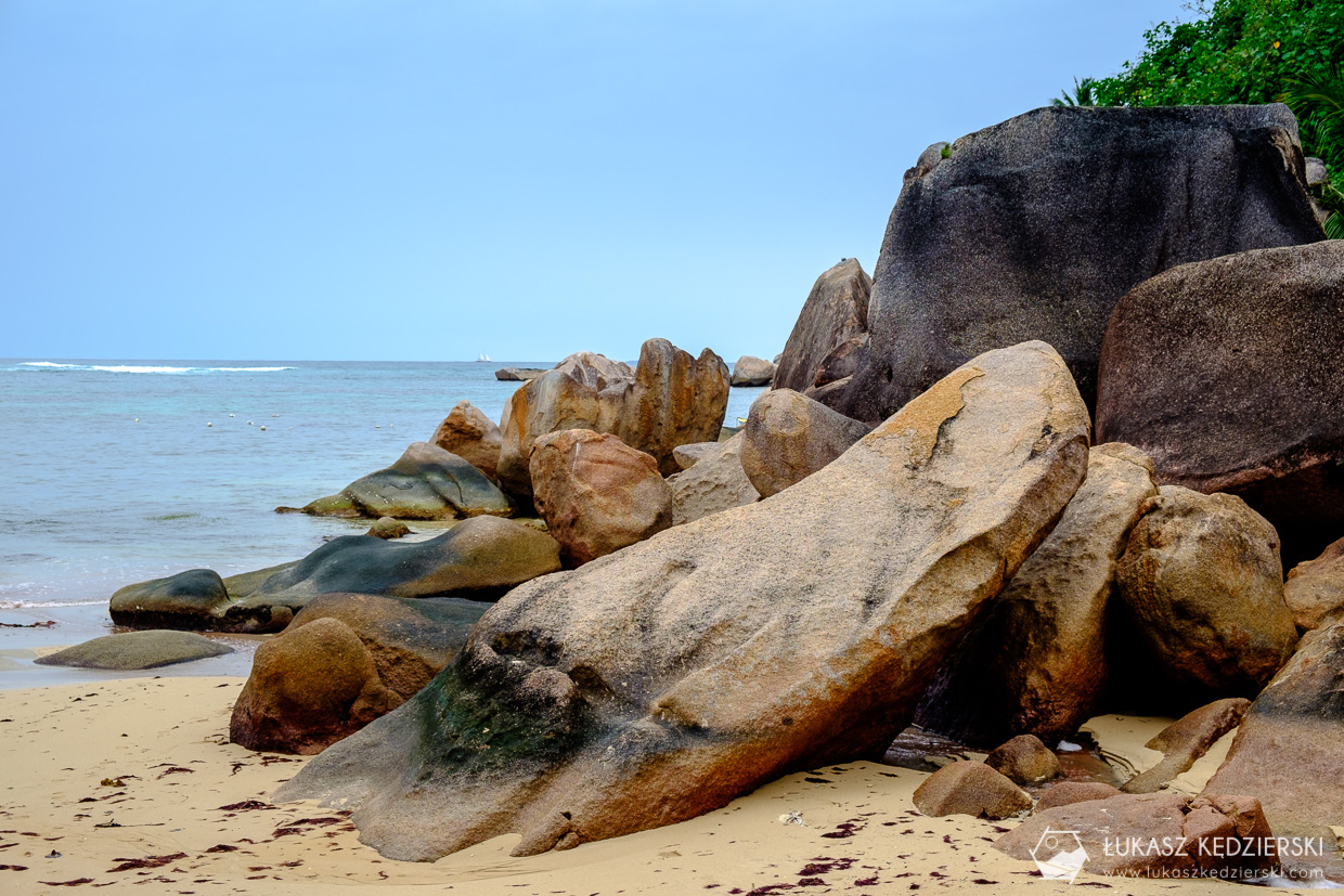 seszele-praslin anse marie-louise seychelles beach