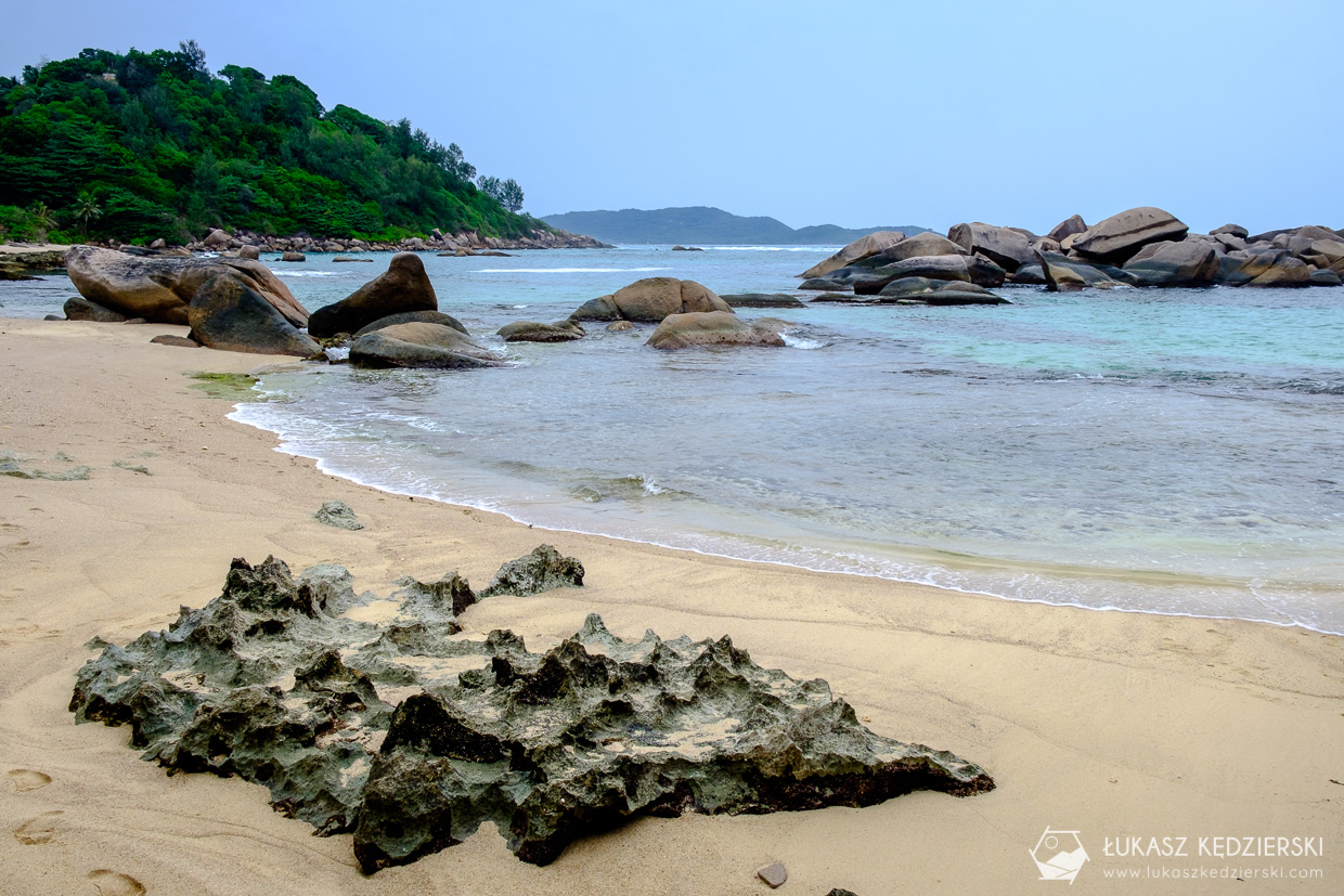 seszele praslin anse consolation seychelles beach