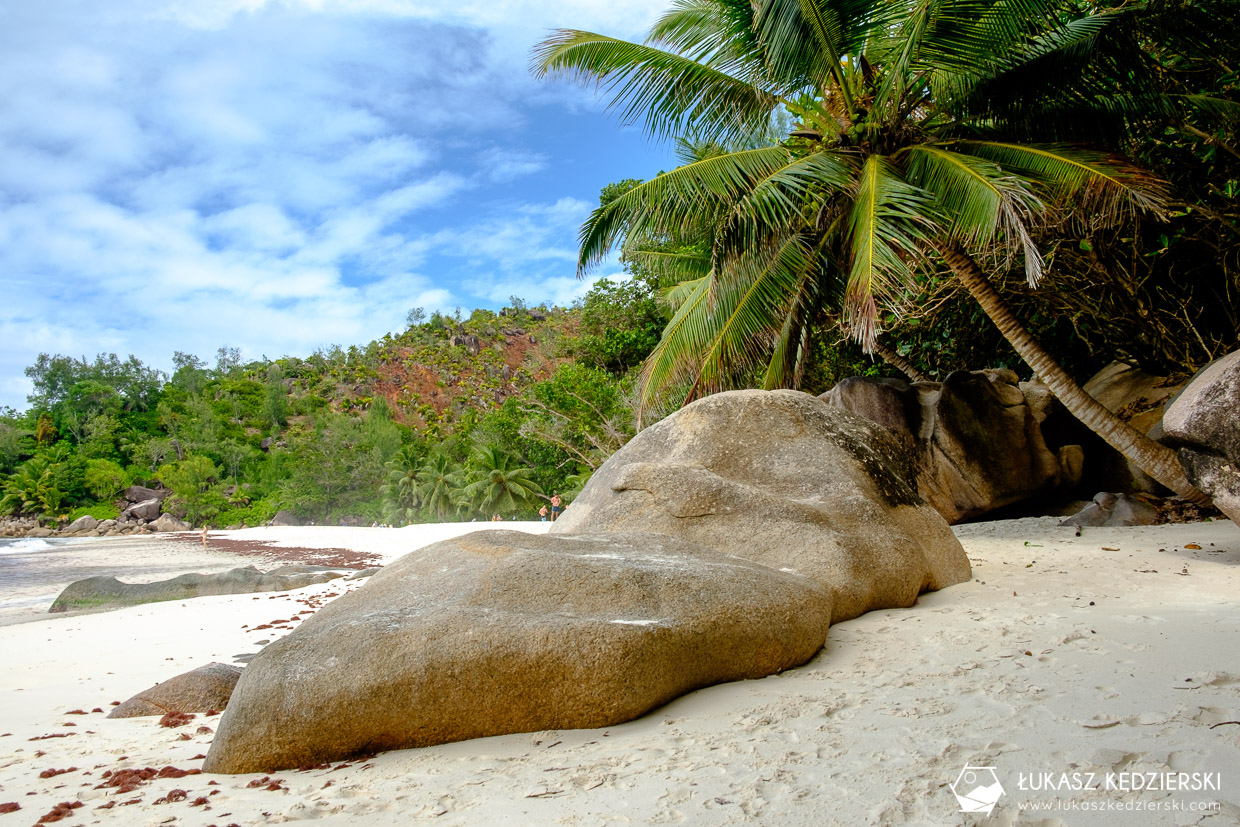 praslin plaża anse georgette beach seychelles