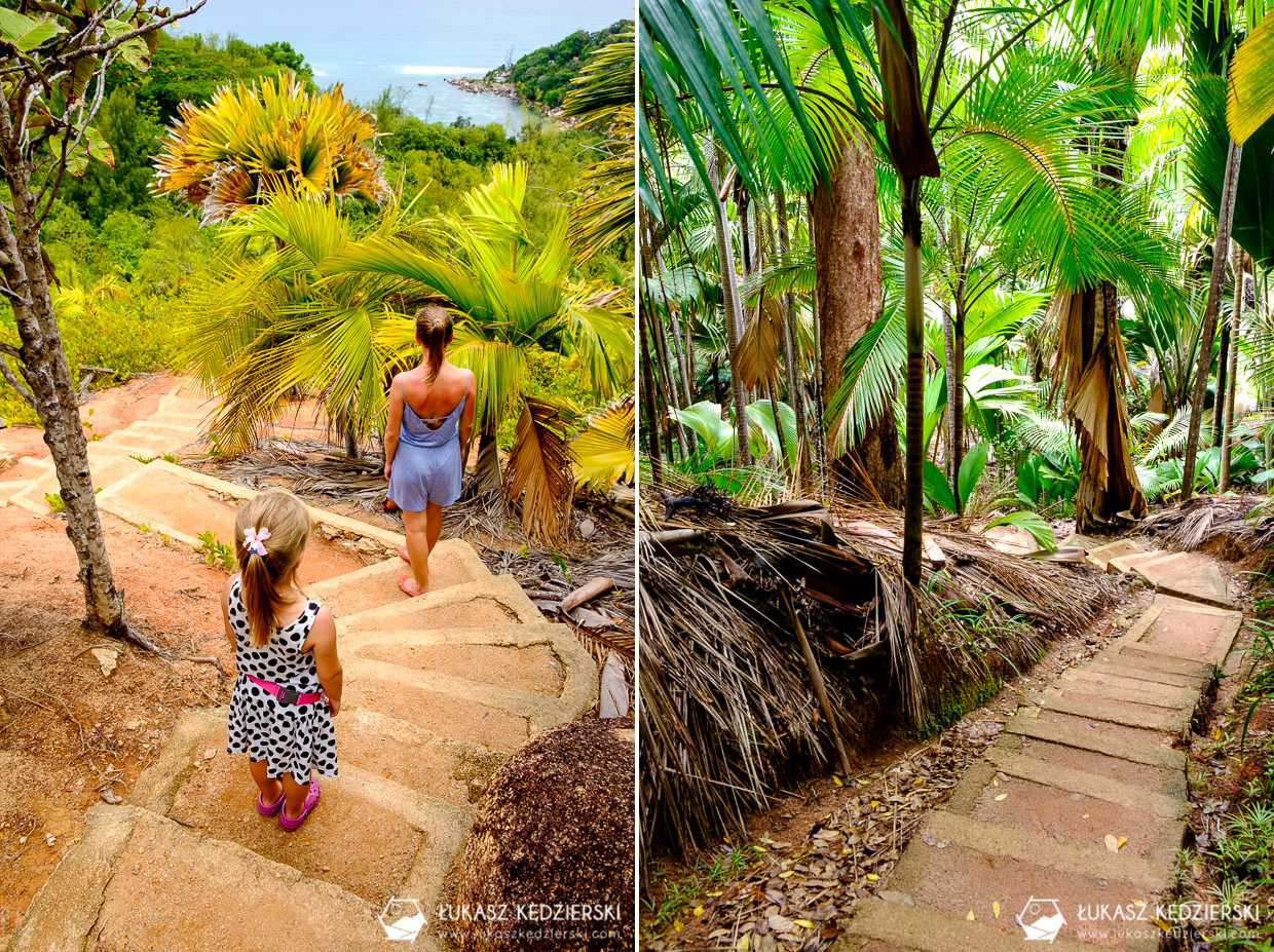 fond ferdinand nature reserve seszele seychelles coco de mer