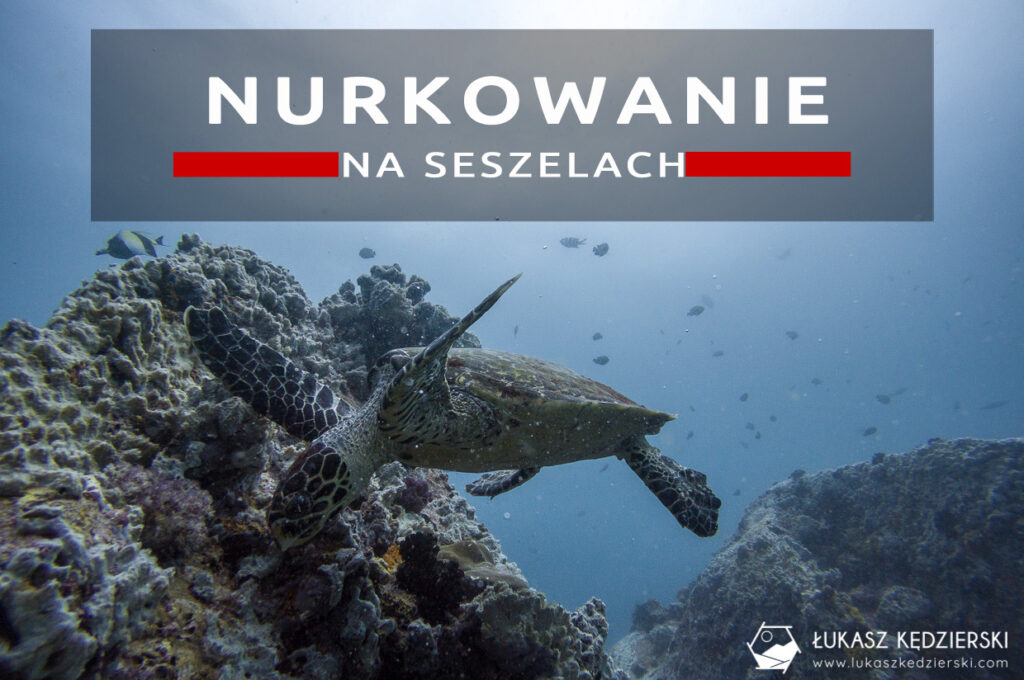 nurkowanie na seszelach diving seychelles mahe praslin