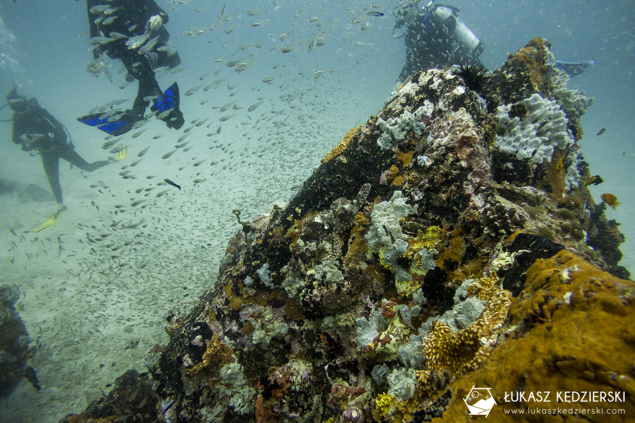 nurkowanie na seszelach diving seychelles mahe praslin